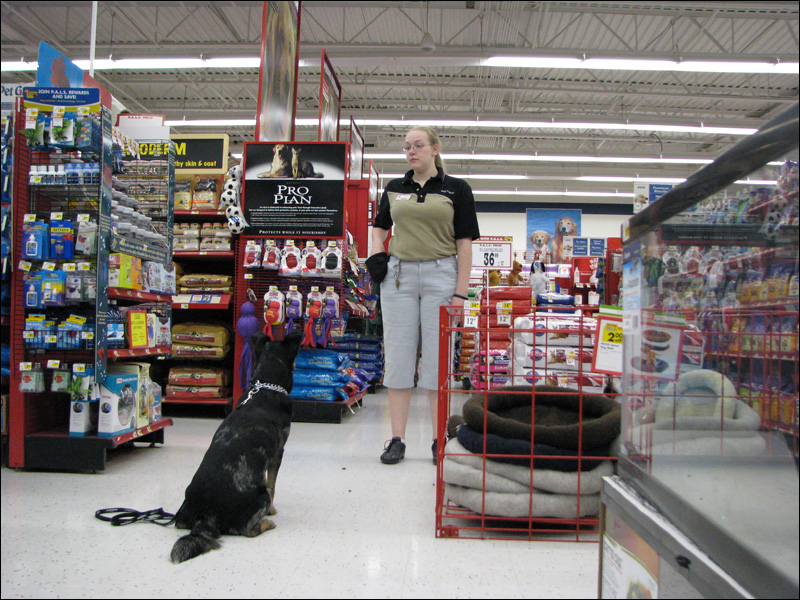 Dog trainer at Petco.