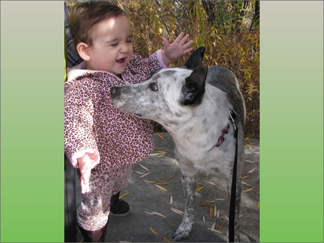 baby and gentle dog.