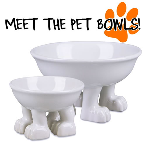 4 Pawed Pet Bowls
