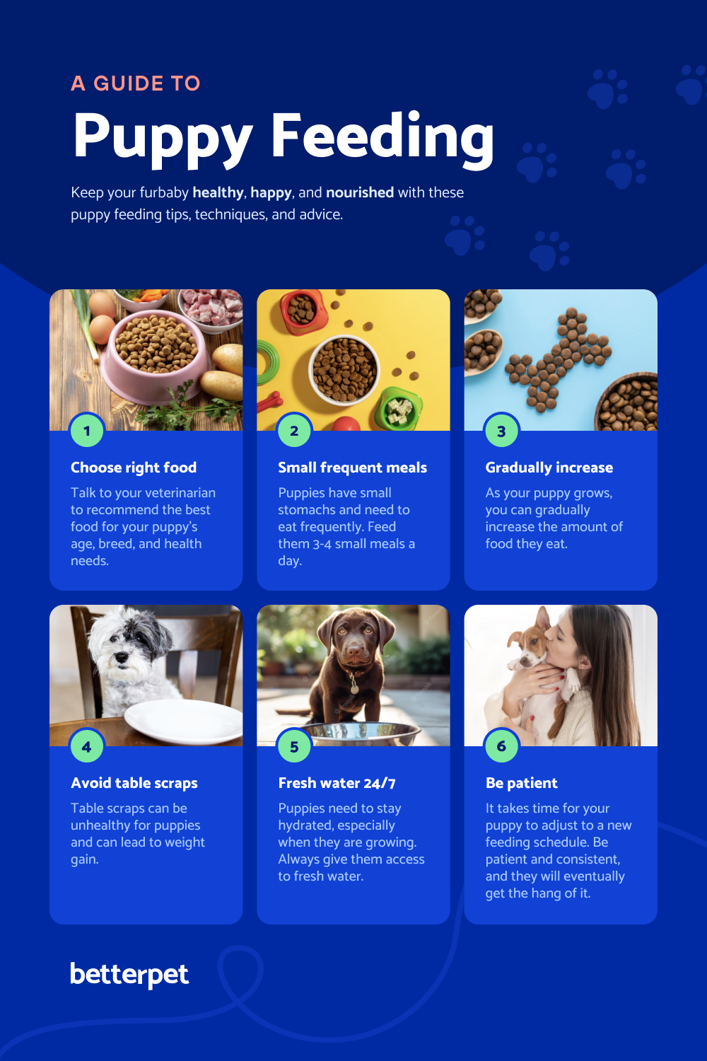 How to Choose Healthy Commercial Dog Food