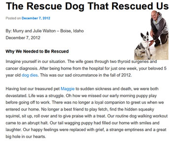 Story about the Rescue Dog Who Rescued Us.