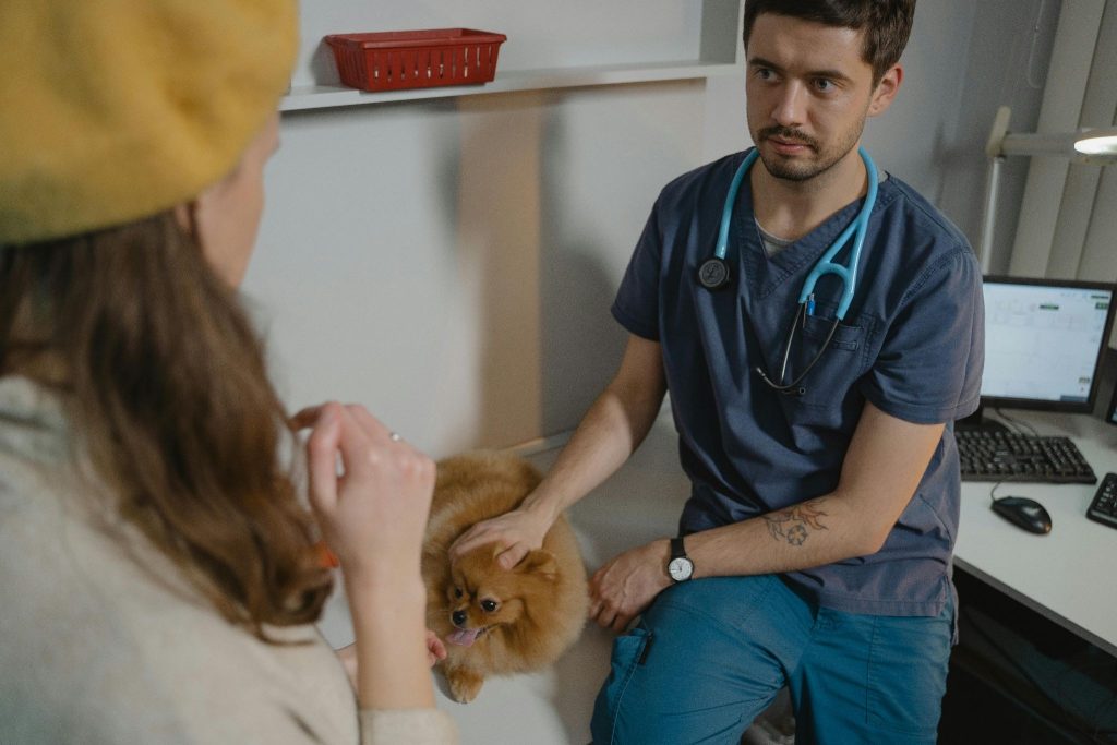 Vet Clinic
