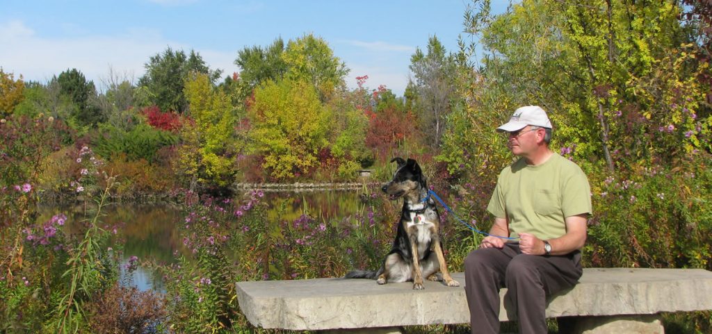 Murry and Maggie resting at the park, strengthening your bond with your dog.