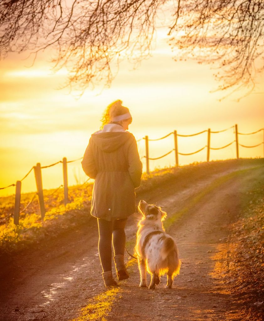 Person walking a dog along a dirt path at sunset, strengthen the bond with their dog.