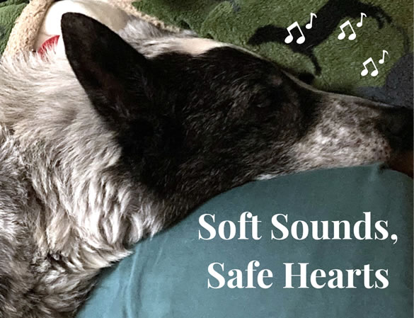 Dog resting calmly while listening to soothing music. Soft sounds safe hearts.