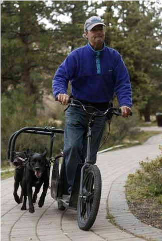 Dog powered scooter being used on a wooded trail with a dog running safely beside the rider.