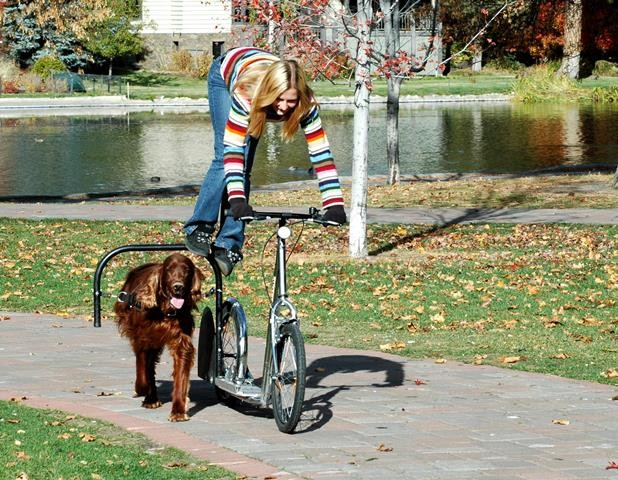 Woman and her red dog on dog-powered scooter