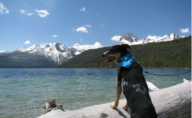 Maggie standing on a log at Redfish Lake in Stanley, Idaho, looking over the clear water toward the Sawtooth Mountains on a bright day.