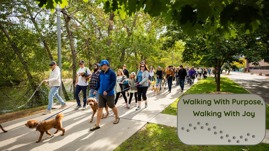 People and dogs walking together along the Boise Greenbelt during a community dog welfare event.