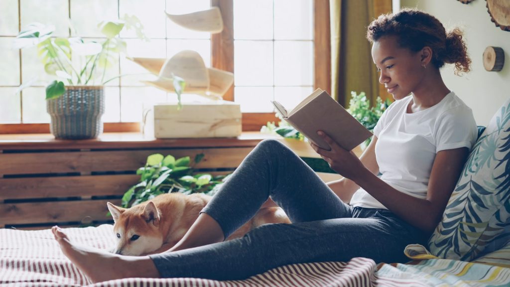 Dog relaxing beside owner while steady routines that help pets provide comfort during life changes